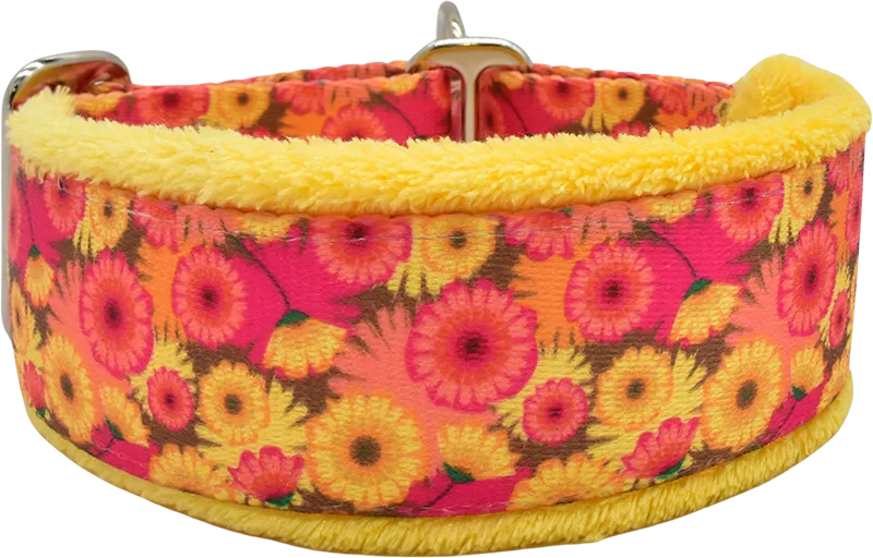 1.5" Hothouse Flowers Everyday Limited Slip Collar