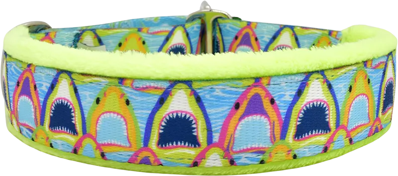 1" Bitey Face Everyday Limited Slip Collar