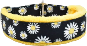 1" Buttercup Daisies Everyday Limited Slip Collar