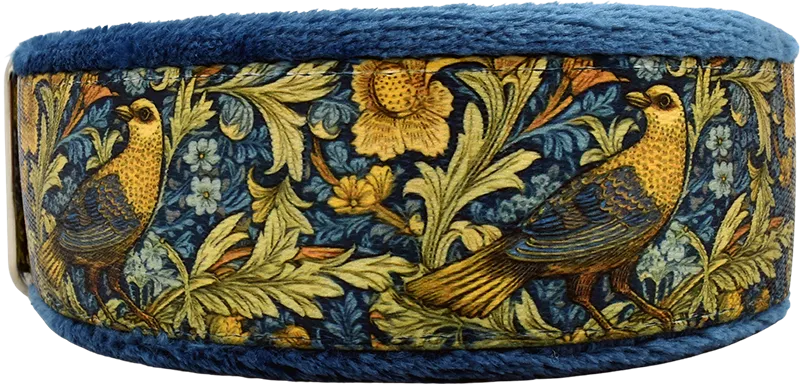 1" Flight of Fancy Everyday Limited Slip Collar