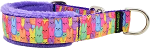 1" Rainbow Peepers Everyday Limited Slip Collar