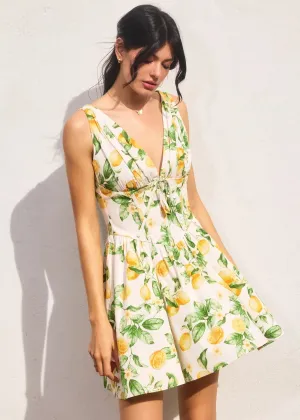 BILLIE PLUNGING CORSET MINI DRESS