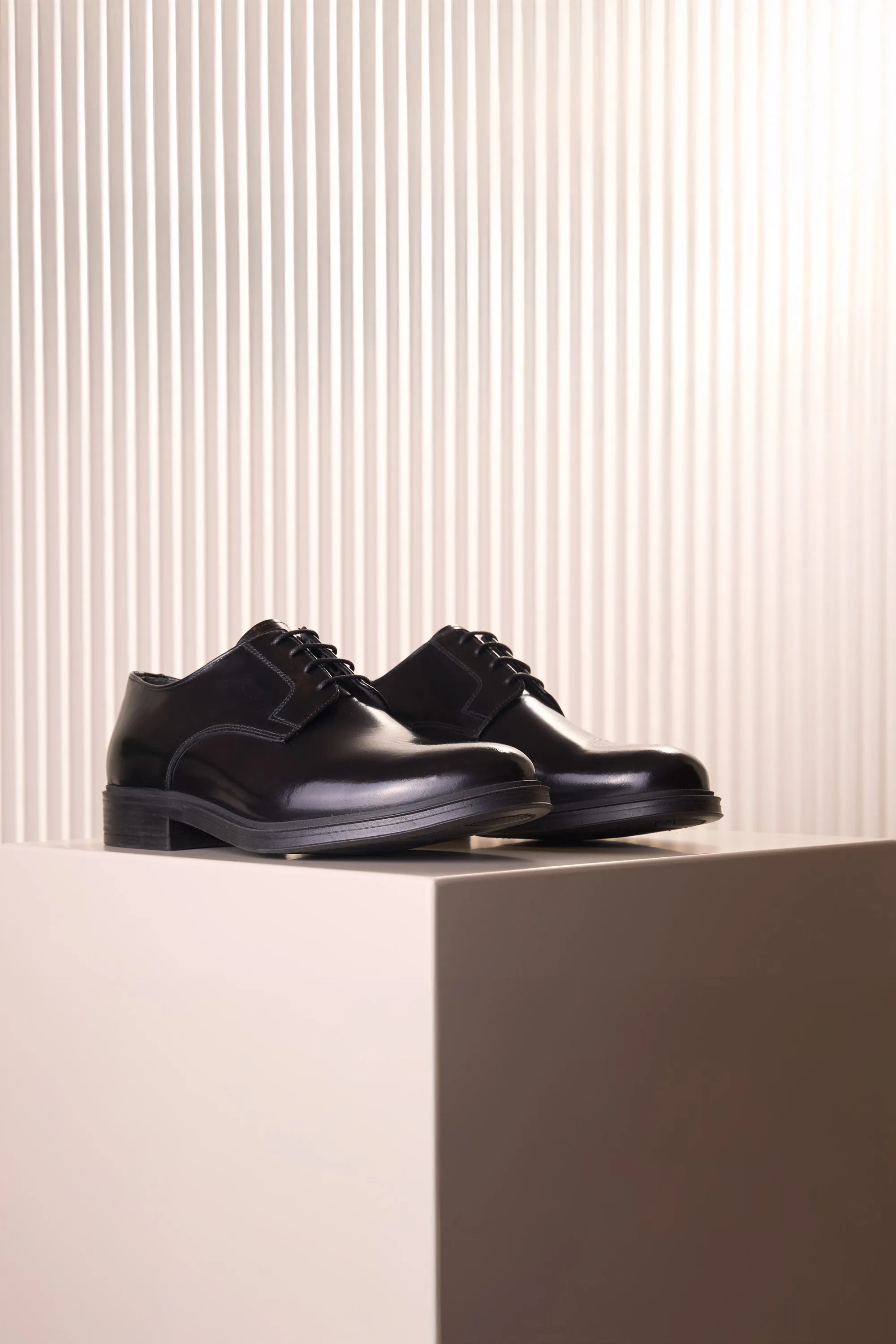 Classic Polished Leather Shoe