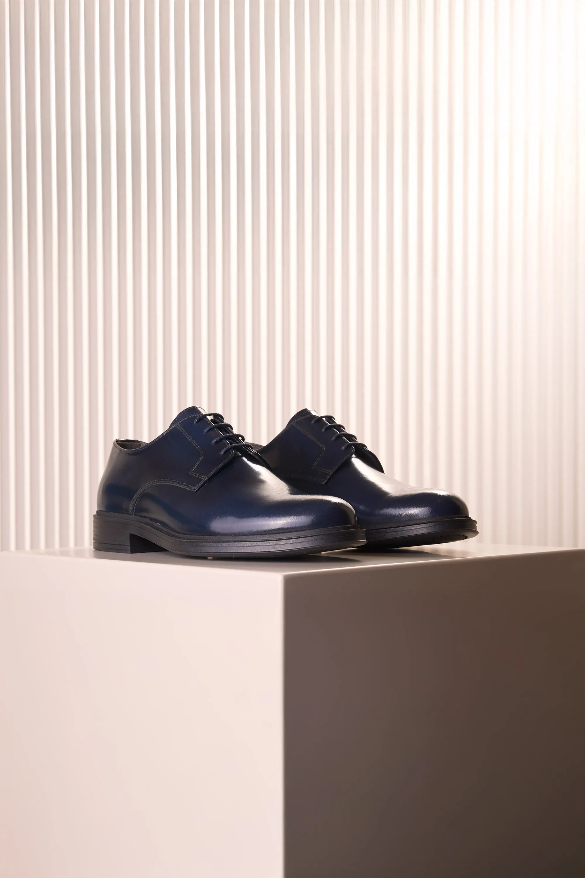 Classic Polished Leather Shoe