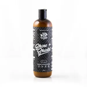Everyday Conditioner  "Shine & Shield"