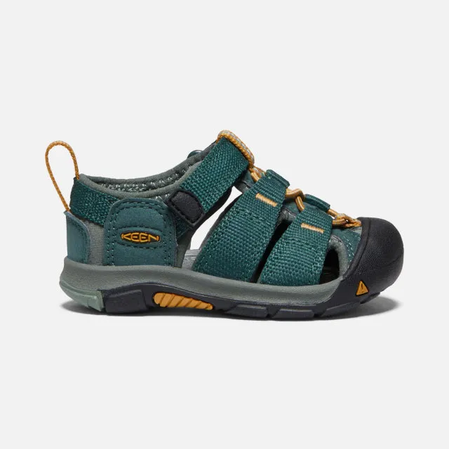 Toddler's Newport H2