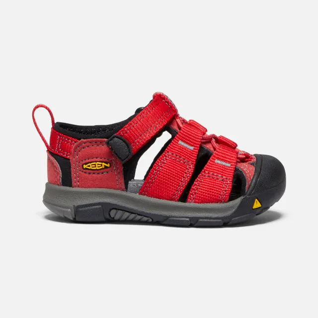 Toddler's Newport H2