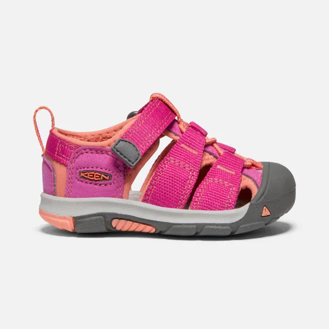 Toddler's Newport H2